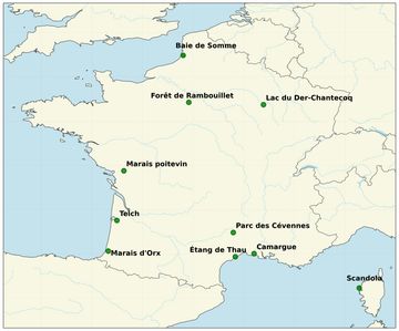 Carte des meilleurs spots d'observation des oiseaux en France