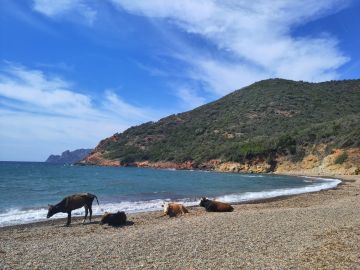 Paysage Porto Ota et Girolata