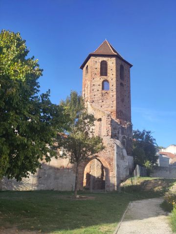 Cathédrale Saint-Caprais d'Agen