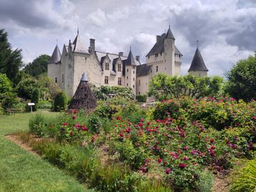 Parc du chateau du Rivau avec des roses